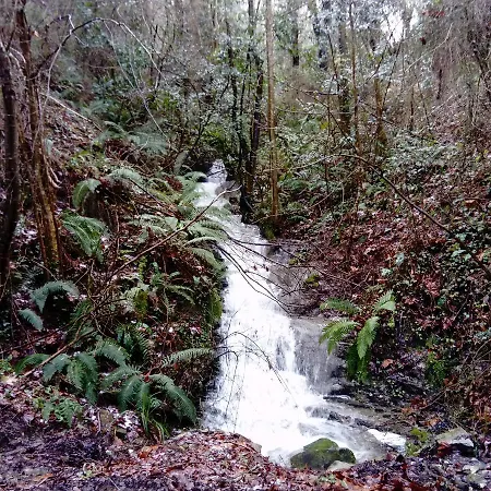 Gazteategi Panzió *