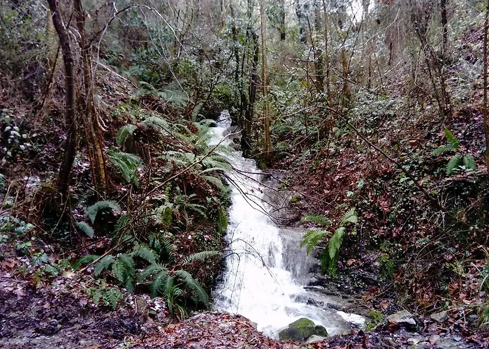 Gazteategi Bed & Breakfast *